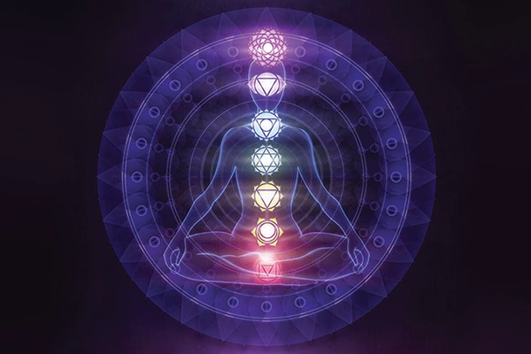 Yog: Beginning the Search