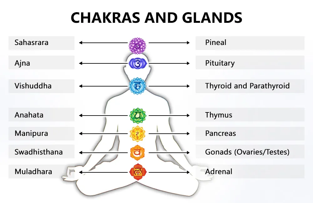 chakra imbalance diseases