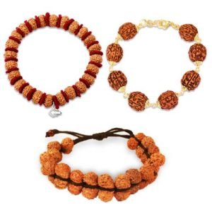 1 - 14 Mukhi Rudraksha Bracelets