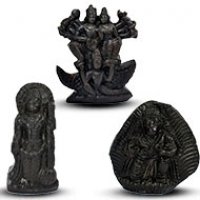 Shaligram Idols (Murti)
